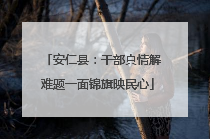 安仁县：干部真情解难题一面锦旗映民心