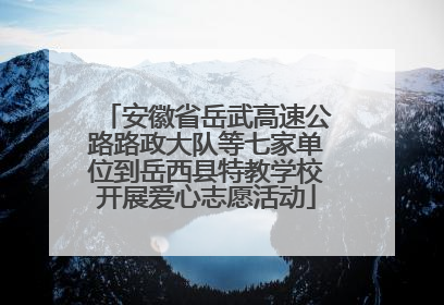 安徽省岳武高速公路路政大队等七家单位到岳西县特教学校开展爱心志愿活动
