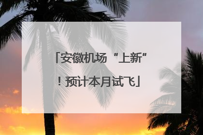 安徽机场“上新”！预计本月试飞
