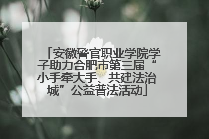 安徽警官职业学院学子助力合肥市第三届“小手牵大手、共建法治城”公益普法活动