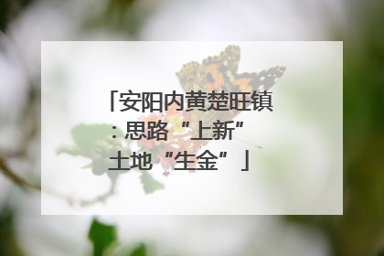 安阳内黄楚旺镇：思路“上新” 土地“生金”