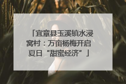 宜章县玉溪镇水浸窝村：万亩杨梅开启夏日“甜蜜经济”