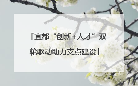 宜都“创新+人才”双轮驱动助力支点建设