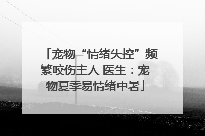 宠物“情绪失控”频繁咬伤主人 医生：宠物夏季易情绪中暑