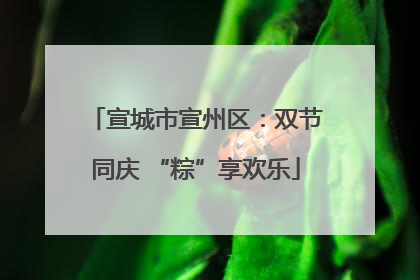 宣城市宣州区：双节同庆 “粽”享欢乐