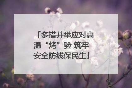 多措并举应对高温“烤”验 筑牢安全防线保民生