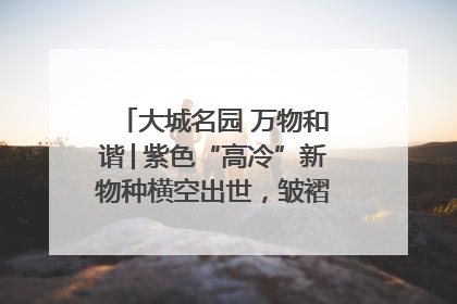大城名园 万物和谐│紫色“高冷”新物种横空出世，皱褶叶片暗藏进化密码