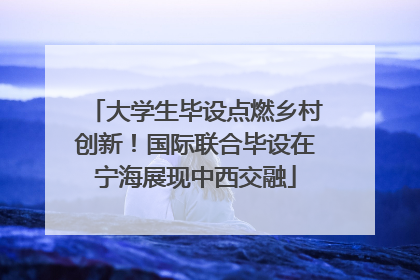 大学生毕设点燃乡村创新！国际联合毕设在宁海展现中西交融