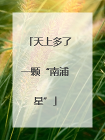 天上多了一颗“南浦星”