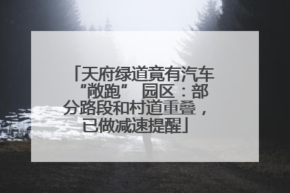 天府绿道竟有汽车“敞跑” 园区：部分路段和村道重叠，已做减速提醒
