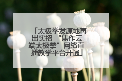 太极拳发源地再出实招 “焦作云端太极拳”网络直播教学平台开通