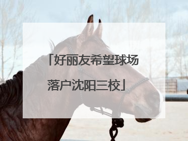 好丽友希望球场落户沈阳三校