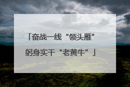 奋战一线“领头雁” 躬身实干“老黄牛”
