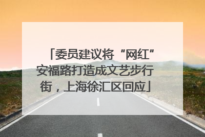 委员建议将“网红”安福路打造成文艺步行街，上海徐汇区回应