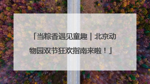 当粽香遇见童趣｜北京动物园双节狂欢指南来啦！