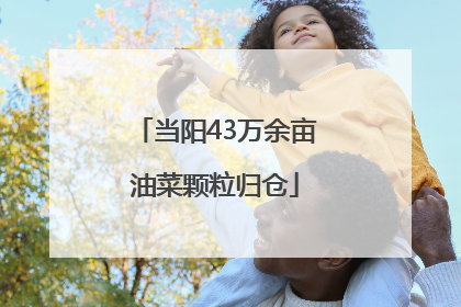 当阳43万余亩油菜颗粒归仓