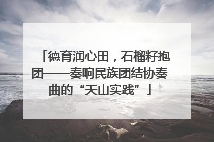 德育润心田，石榴籽抱团——奏响民族团结协奏曲的“天山实践”