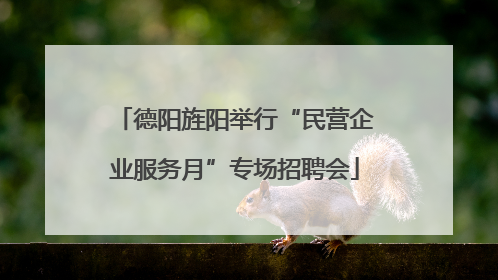 德阳旌阳举行“民营企业服务月”专场招聘会