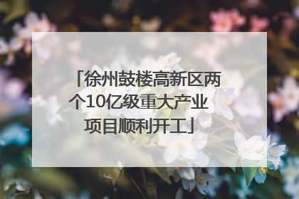 徐州鼓楼高新区两个10亿级重大产业项目顺利开工