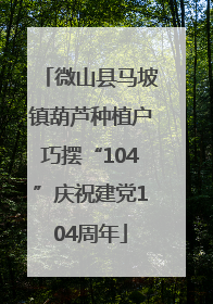 微山县马坡镇葫芦种植户巧摆“104”庆祝建党104周年