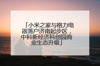 小米之家与格力电器落户济南起步区，中科新经济科创园商业生态升级