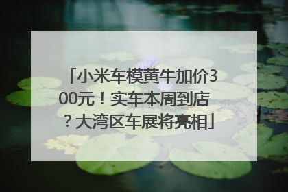 小米车模黄牛加价300元！实车本周到店？大湾区车展将亮相