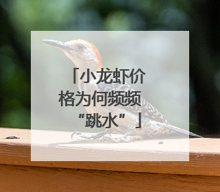 小龙虾价格为何频频“跳水”