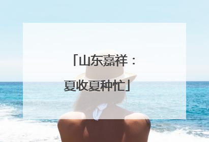 山东嘉祥：夏收夏种忙