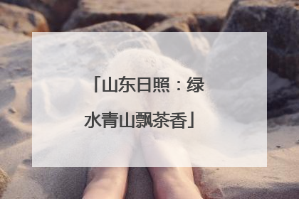 山东日照：绿水青山飘茶香