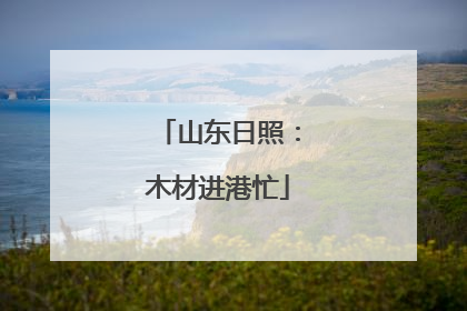 山东日照：木材进港忙