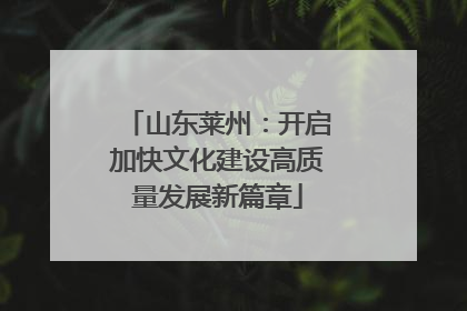 山东莱州：开启加快文化建设高质量发展新篇章