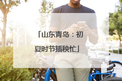 山东青岛：初夏时节插秧忙