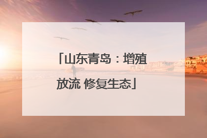 山东青岛：增殖放流 修复生态