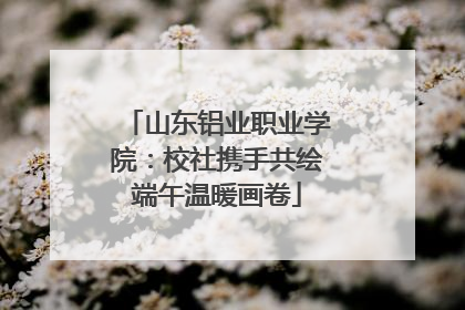山东铝业职业学院：校社携手共绘端午温暖画卷