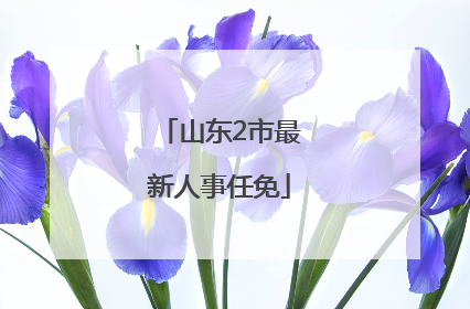 山东2市最新人事任免