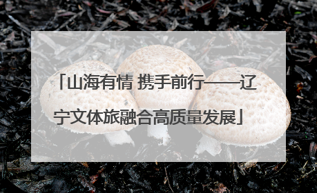 山海有情 携手前行——辽宁文体旅融合高质量发展
