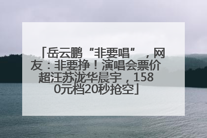 岳云鹏“非要唱”，网友：非要挣！演唱会票价超汪苏泷华晨宇，1580元档20秒抢空