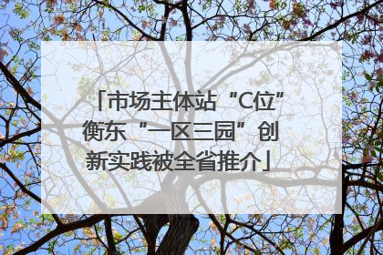 市场主体站“C位” 衡东“一区三园”创新实践被全省推介