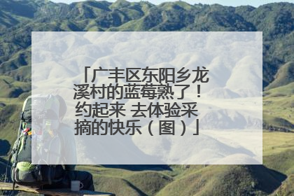 广丰区东阳乡龙溪村的蓝莓熟了！约起来 去体验采摘的快乐（图）