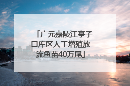 广元嘉陵江亭子口库区人工增殖放流鱼苗40万尾