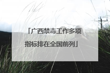 广西禁毒工作多项指标排在全国前列