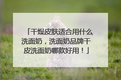 干燥皮肤适合用什么洗面奶，洗面奶品牌干皮洗面奶哪款好用！