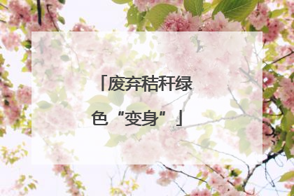 废弃秸秆绿色“变身”