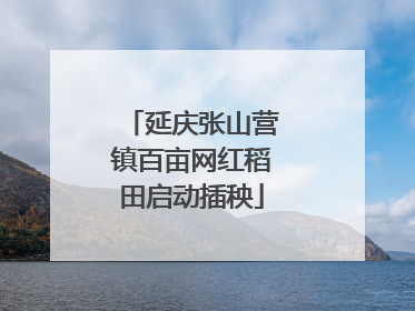 延庆张山营镇百亩网红稻田启动插秧
