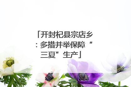 开封杞县宗店乡：多措并举保障“三夏”生产