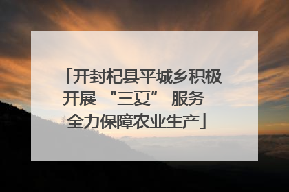 开封杞县平城乡积极开展 “三夏” 服务 全力保障农业生产