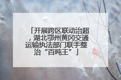 开展跨区联动治超，湖北鄂州黄冈交通运输执法部门联手整治“百吨王”