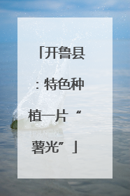 开鲁县：特色种植一片“薯光”