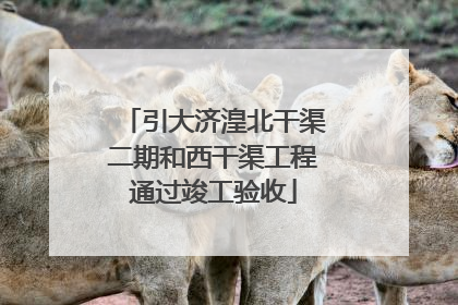 引大济湟北干渠二期和西干渠工程通过竣工验收
