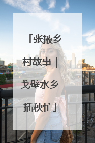 张掖乡村故事｜戈壁水乡插秧忙